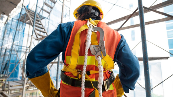 Consultancy Services